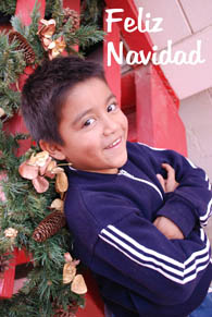 Bombay at Christmas